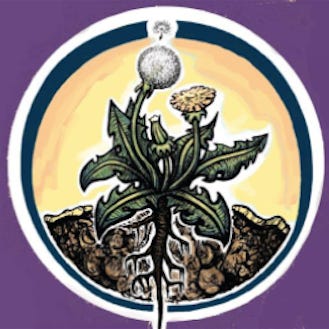 Underground Transmissions