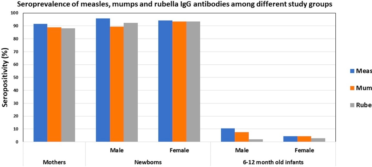 10 FAQs on MMR and Measles Protection