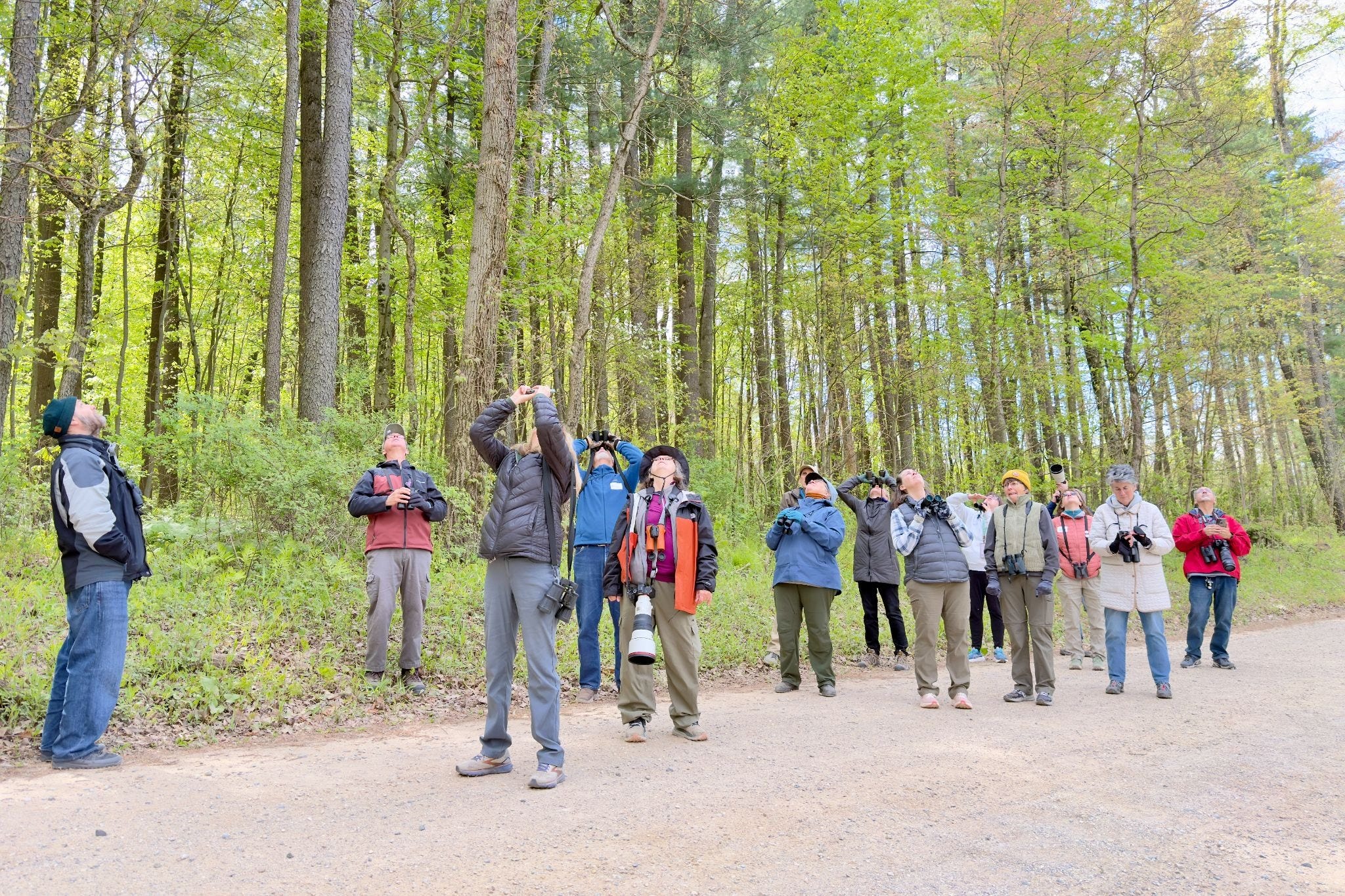 Chasing the Elusive Cerulean Warbler in Hastings: Who Knew Birding Could Be This Hard?