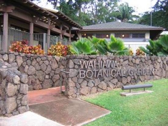 Wahiawa Botanical Garden Wahiawa Botanical Garden