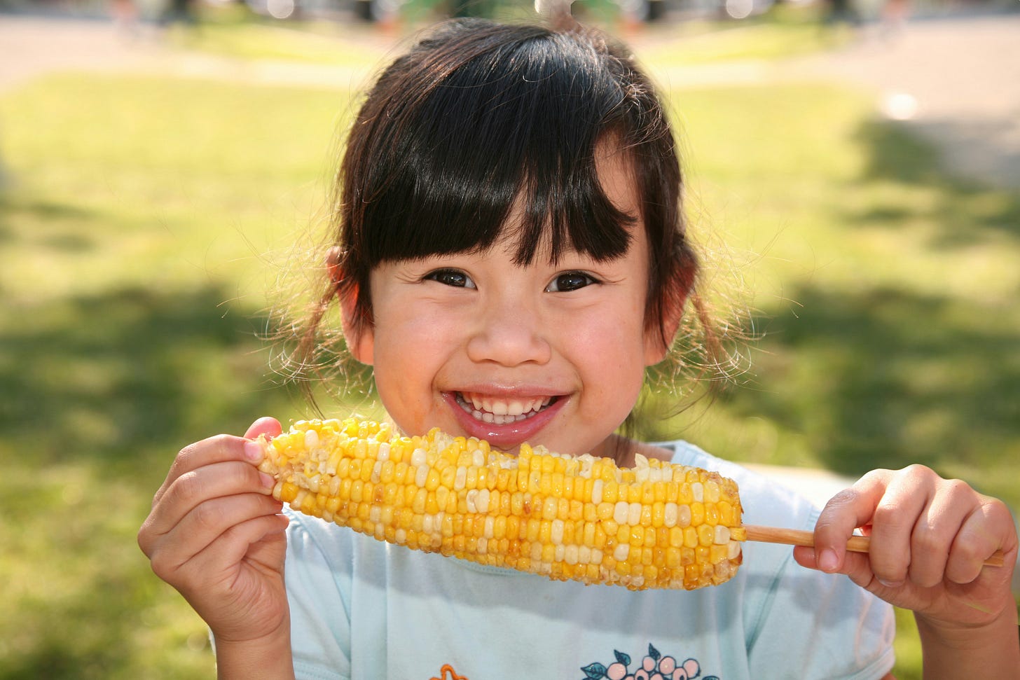 A smiling young child holds a grilled ear of corn on a stick with both hands while sitting outdoors in a sunny park. A smiling young child holds a grilled ear of corn on a stick with both hands while sitting outdoors in a sunny park.