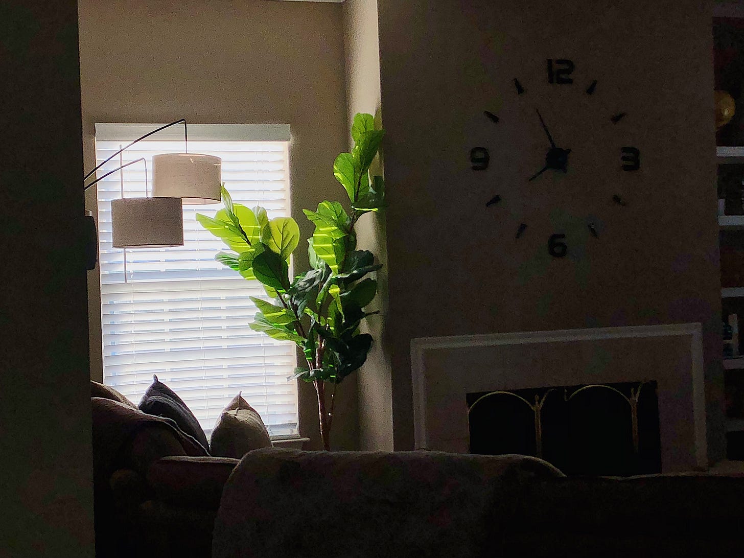 Dark corner with a sofa and lamp and plant, and the only light coming in is from the window next to it all.