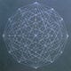   Indra's Net