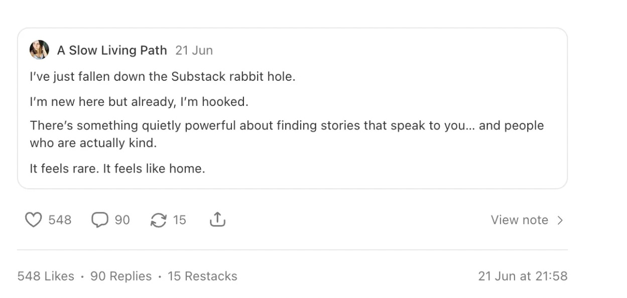 substack notes substack notes