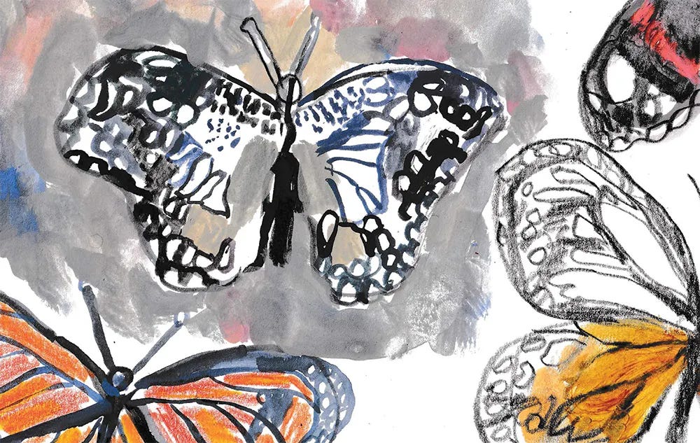 butterfly paintings by Beth Spencer