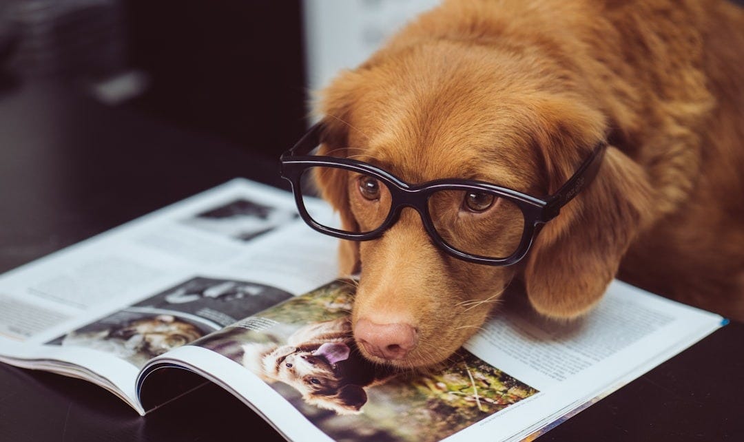 black framed eyeglasses