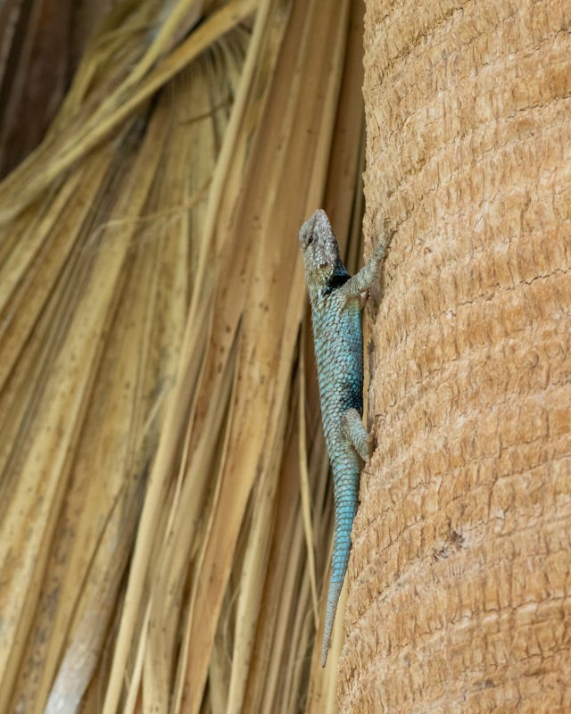 20250624-SGC-253-Edit.jpg 20250624-SGC-253-Edit.jpg