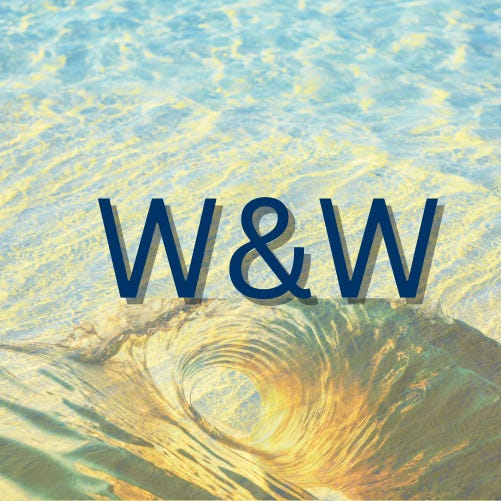 Wit & Wisdom with Srini