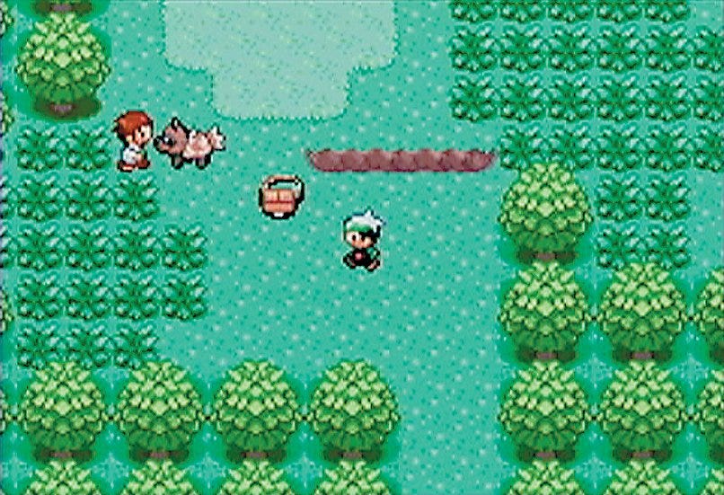 Pokémon Emerald (Game) - Giant Bomb