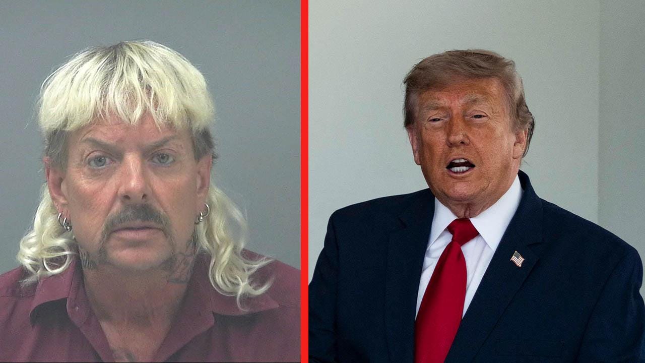 Joe Exotic,Donald Trump Joe Exotic,Donald Trump