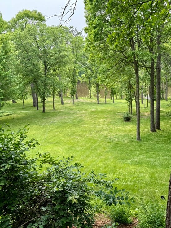 A green field with trees

AI-generated content may be incorrect.