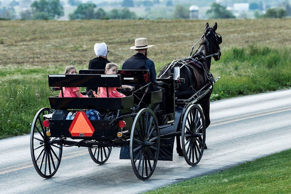 Amish Horse-Drawn Buggy