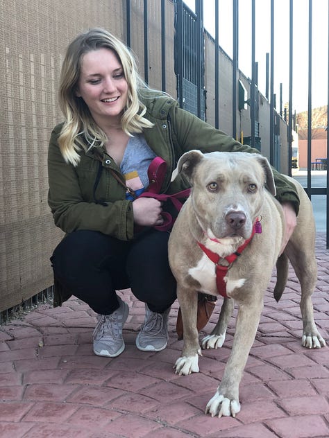 women with dogs they've just adopted