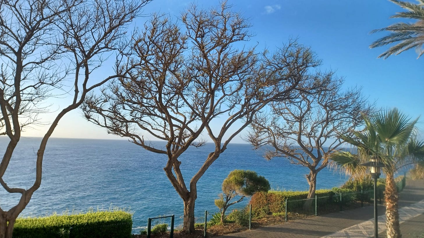 Madeira - A 6 Day Guide