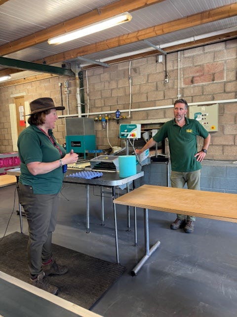 2025-6-21 Egg collection station Miller Farm, Lake District, England, photo by Tanya Briley