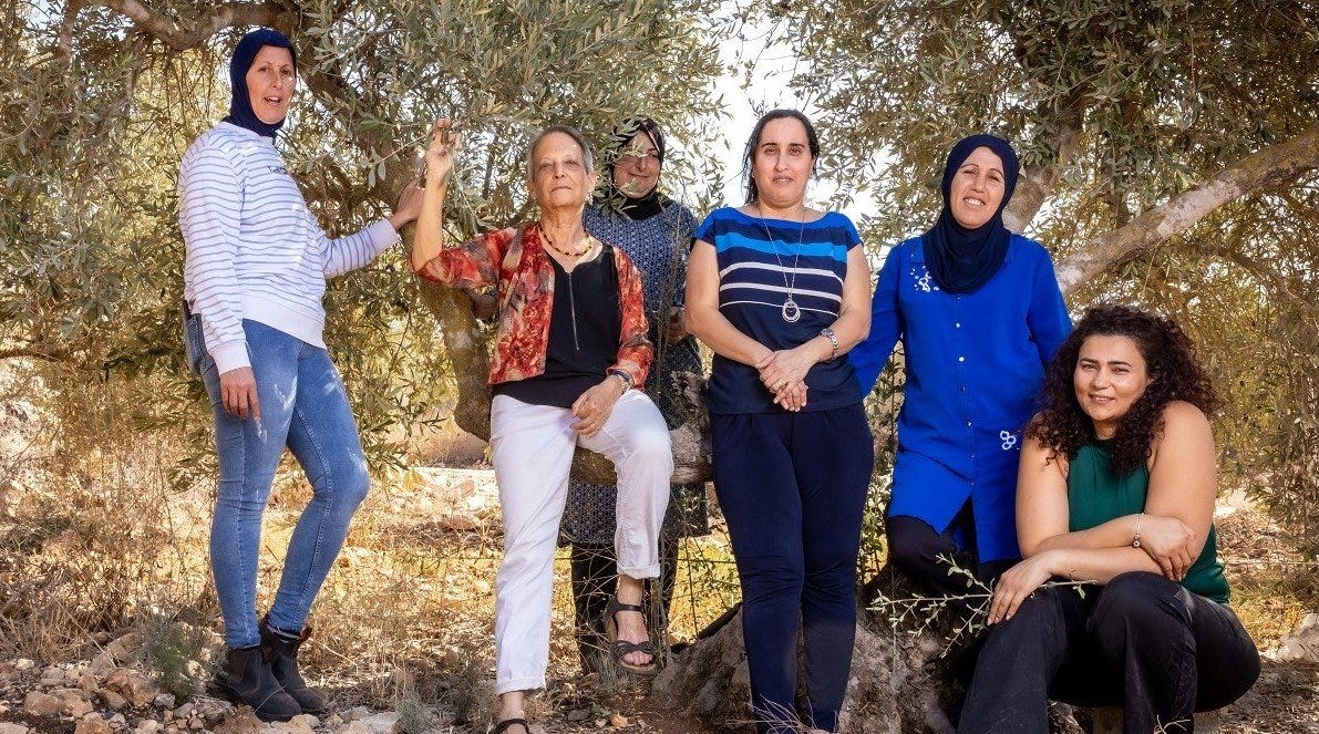 Sindyanna Olive Oil of Galilee: A Jewish-Arab Collaboration for Peace — Equal Exchange Resource Center Sindyanna Olive Oil of Galilee: A Jewish-Arab Collaboration for Peace — Equal Exchange Resource Center
