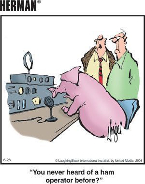 Herman Comic - Ham Radio | Herman cartoon, Herman comic ...