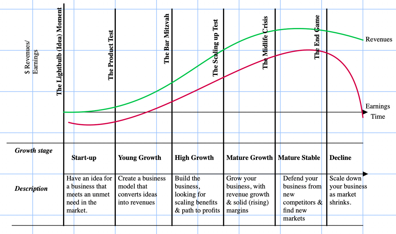 Musings on Markets: A Viral Market Update X: A Corporate Life Cycle  Perspective
