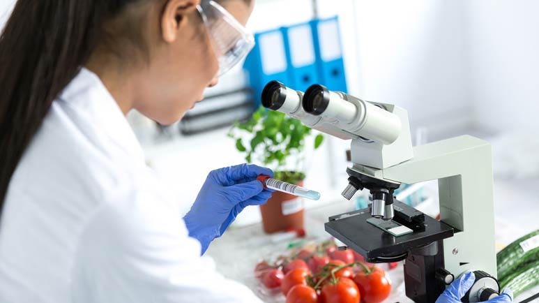 glyphosate use increases