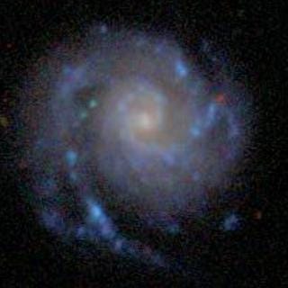 NGC 99, a blue spiral galaxy. Credit: SDSS SkyServer