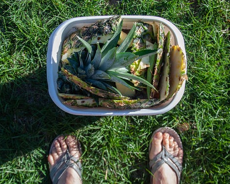 ritual, composting, process, hands in soil, abundant garden