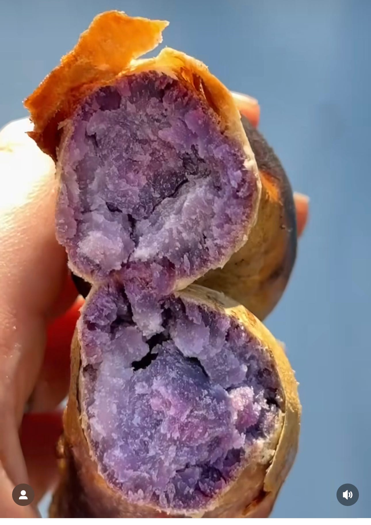 roasted purple sweet potatoes
