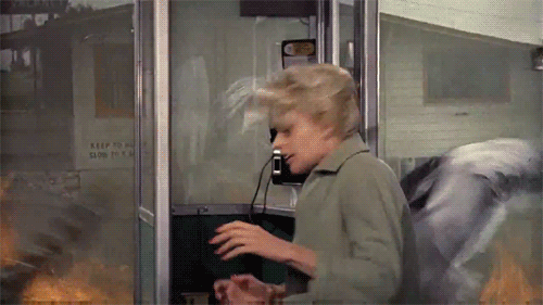 tippi hedren getting attacked by birds gif
