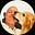Adam Meredith's avatar