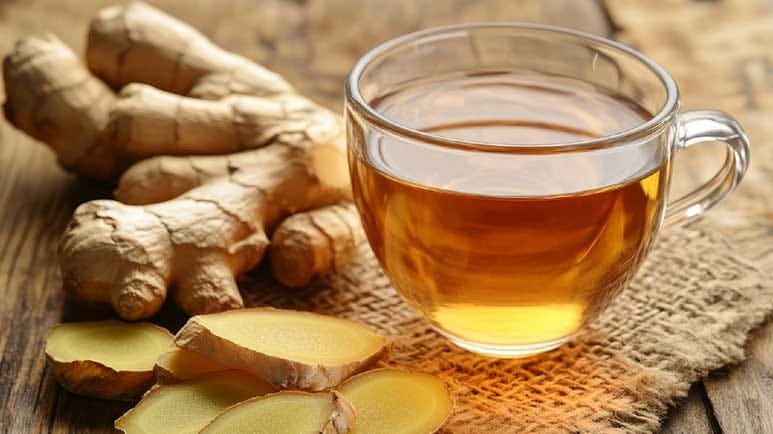 ginger inflammatory bowel disease