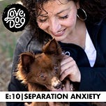 Drew Webster's K9 to 5