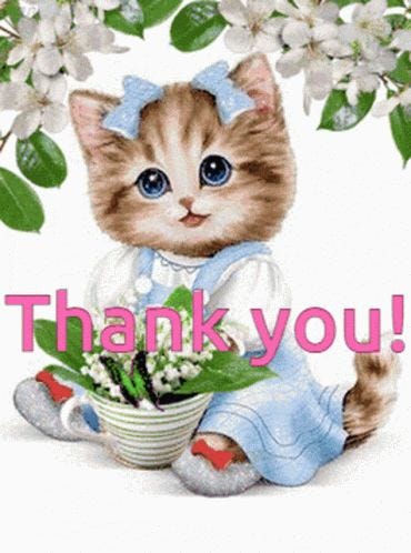 Beautiful Thank You Cat GIF