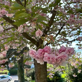 For a brief moment of lightness, I became heavy