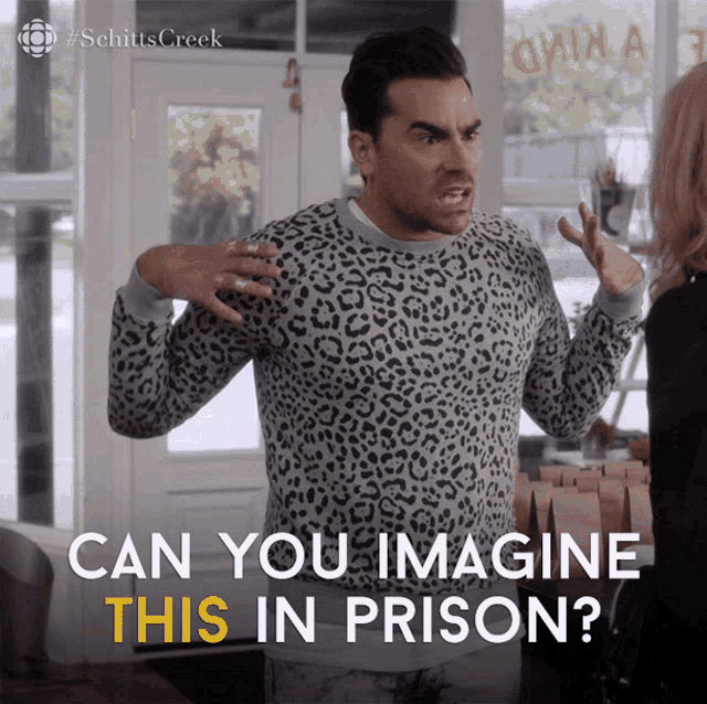 David from Schitt's Creek, wearing a leopard print sweater, says " can you imagine THIS in prison ? " David from Schitt's Creek, wearing a leopard print sweater, says " can you imagine THIS in prison ? "