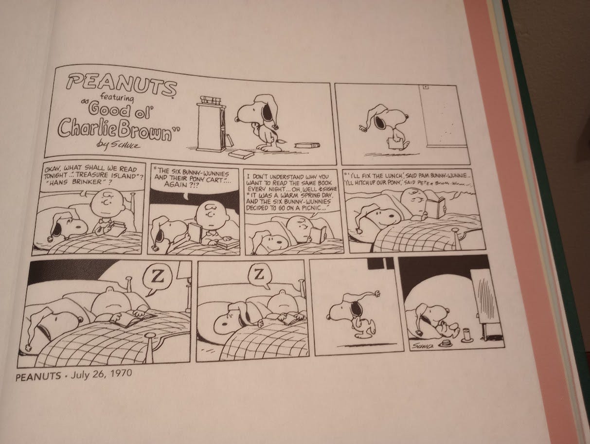 Cartoon in which Charlie reads to Snoopy