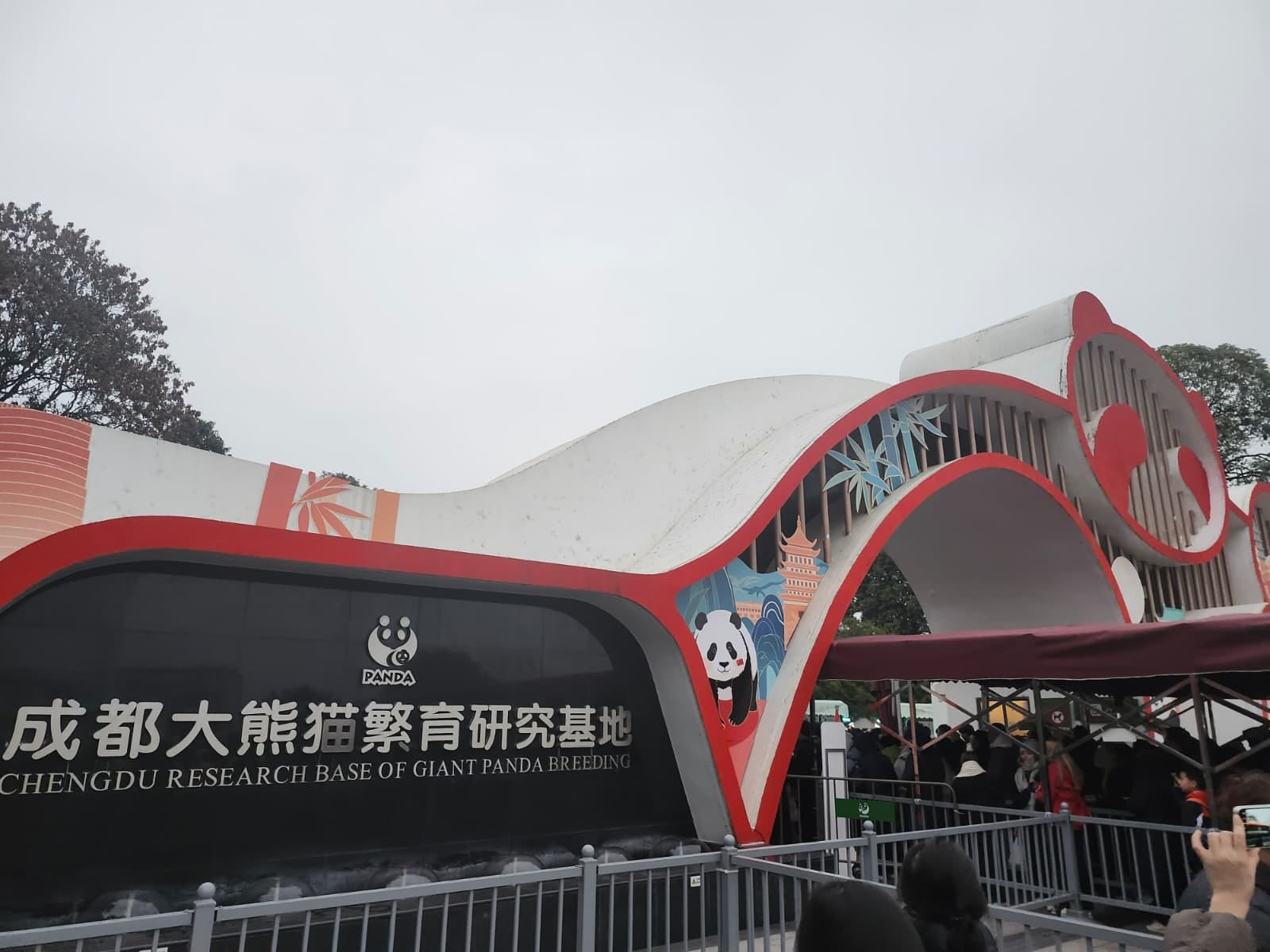 The Pandas of Chengdu - by Sam Matey-Coste