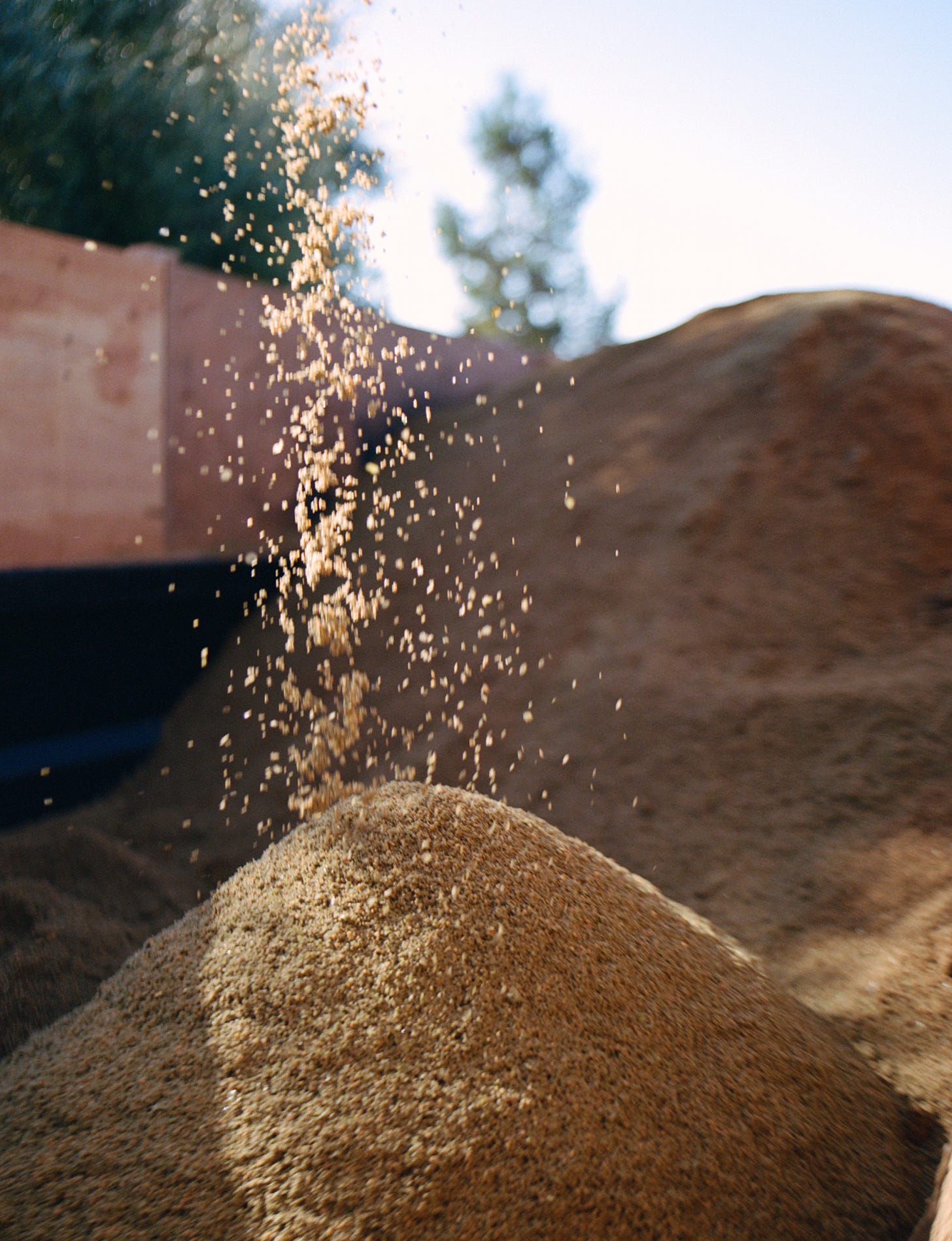 Pomace, the byproduct of pressing olive oil Pomace, the byproduct of pressing olive oil