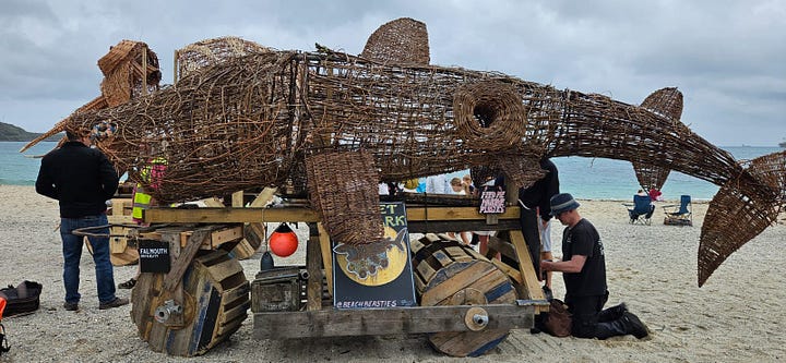 Ocean Buffer Project at Festival for the Ocean, Gyllyngvase Beach, Falmouth, showing plankton