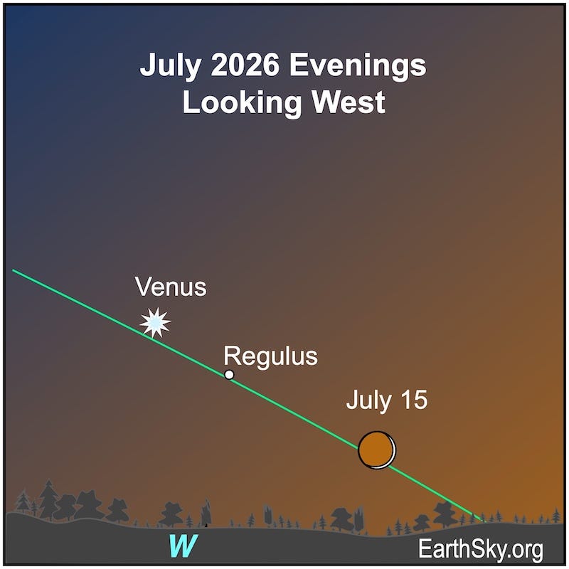 A crescent shape, the moon, lies immediately above a jagged line, the western horizon. To its upper left is a small dot, Regulus, and to the upper left of it is a starred dot, Venus.
