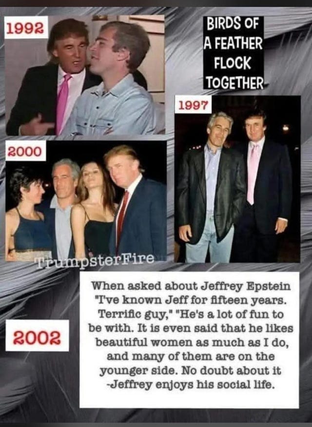 r/PoliticalHumor - Epstein who is Epstein? Not sure what you are referring to