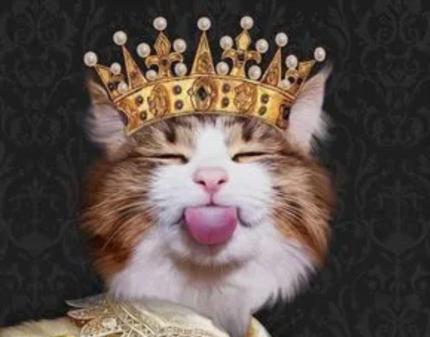 boriquagato.substack.com