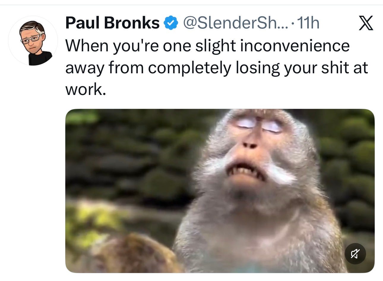 IMG_3522.jpeg