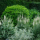 How to design a border in your garden