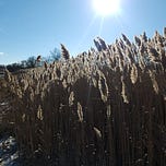 New England Parks Project