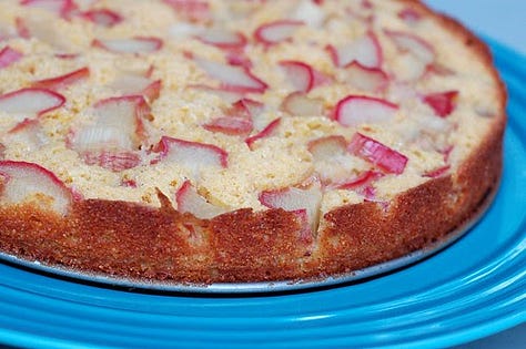 Rhubarb Johnnycake by Eve Fox, copyright 2025 The Garden of Eating