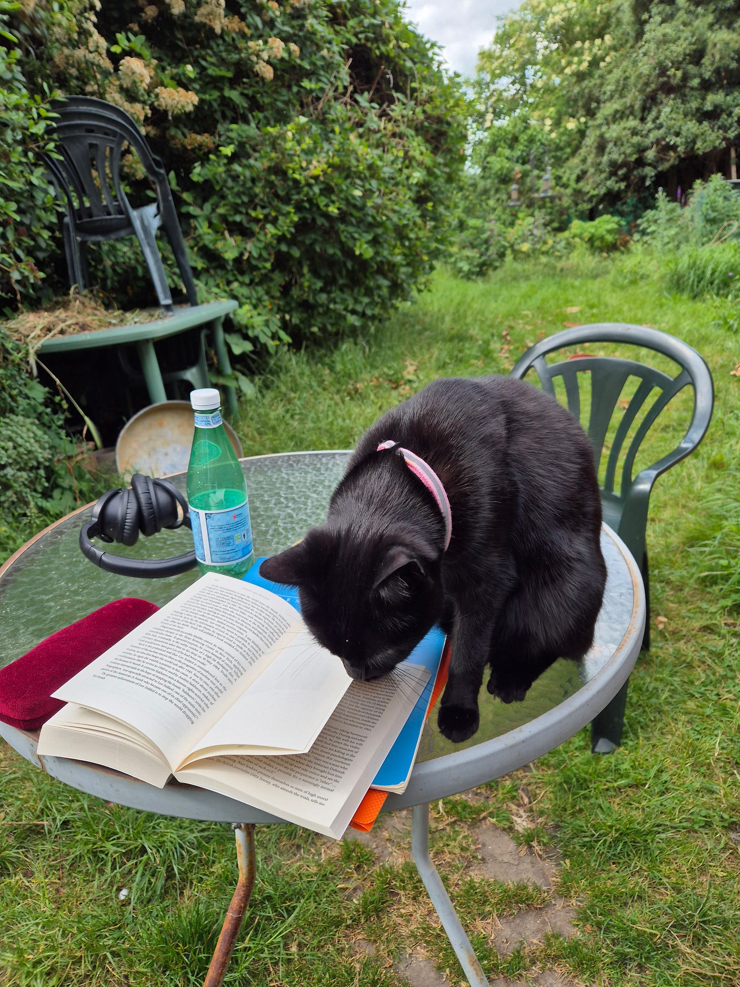 Minty proofreading