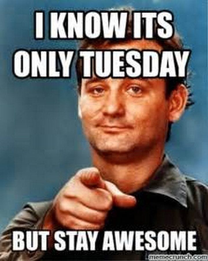 Tuesday Quotes Funny, Tuesday Meme, Funny Weekend Quotes, Morning Quotes Funny, Morning Humor, Funny Quotes, Thursday Funny, Wednesday Humor, Monday Humor