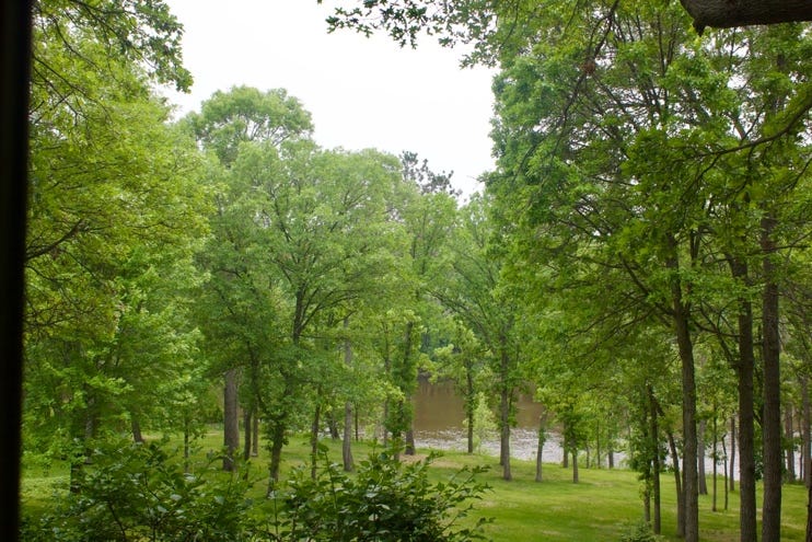 A green forest with trees and a river

AI-generated content may be incorrect.