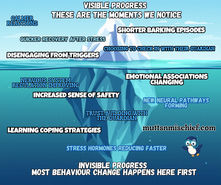 Iceberg graphic split into visible and invisible progress. Words highlight behaviors like calmer reactions and learning coping strategies. Sky blue tones. Iceberg graphic split into visible and invisible progress. Words highlight behaviors like calmer reactions and learning coping strategies. Sky blue tones.