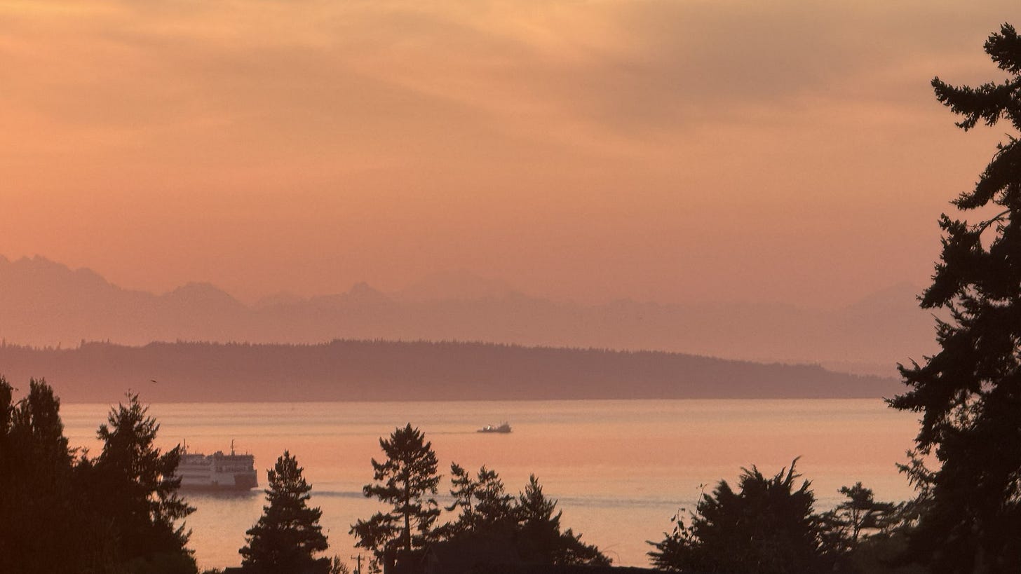 A landscape view with trees in the foreground, looking across Admiralty Inlet at sunrise. The sky is a diffused rose. A ferry and small vessel cross the inlet.