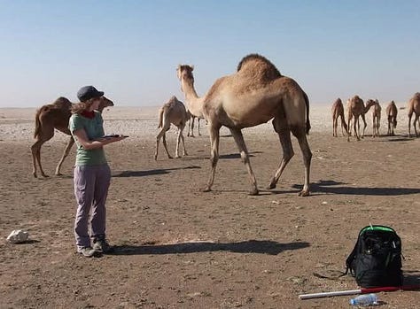 A series of snapshots from my time working as an archaeologist.